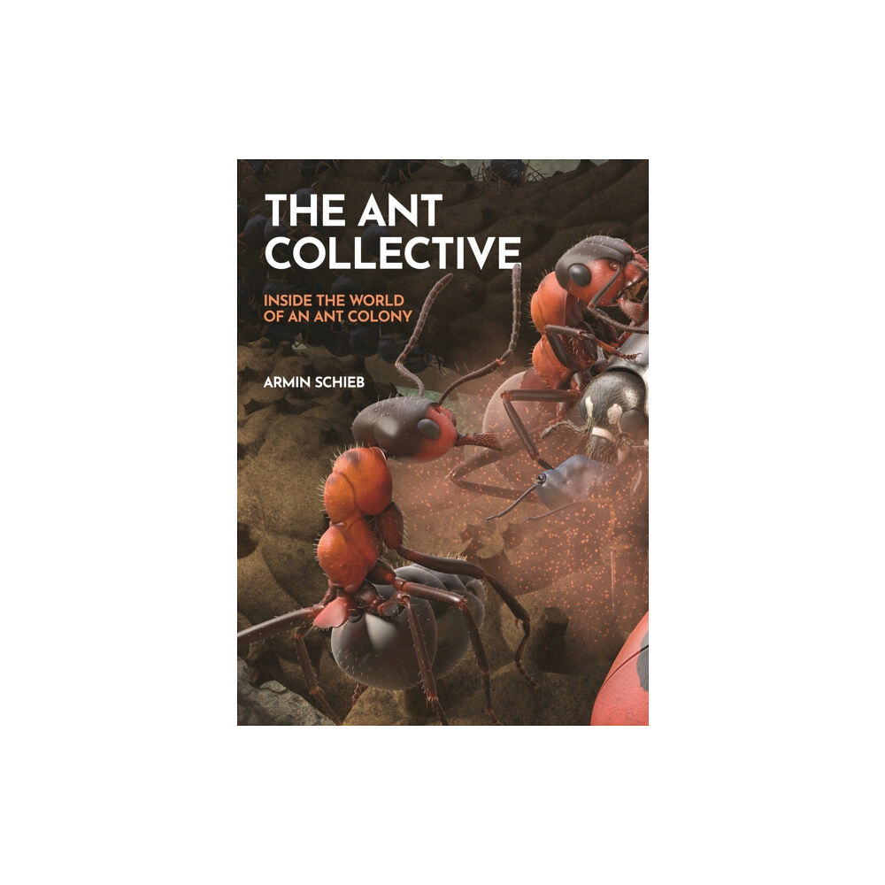 Princeton University Press The Ant Collective (inbunden, eng)