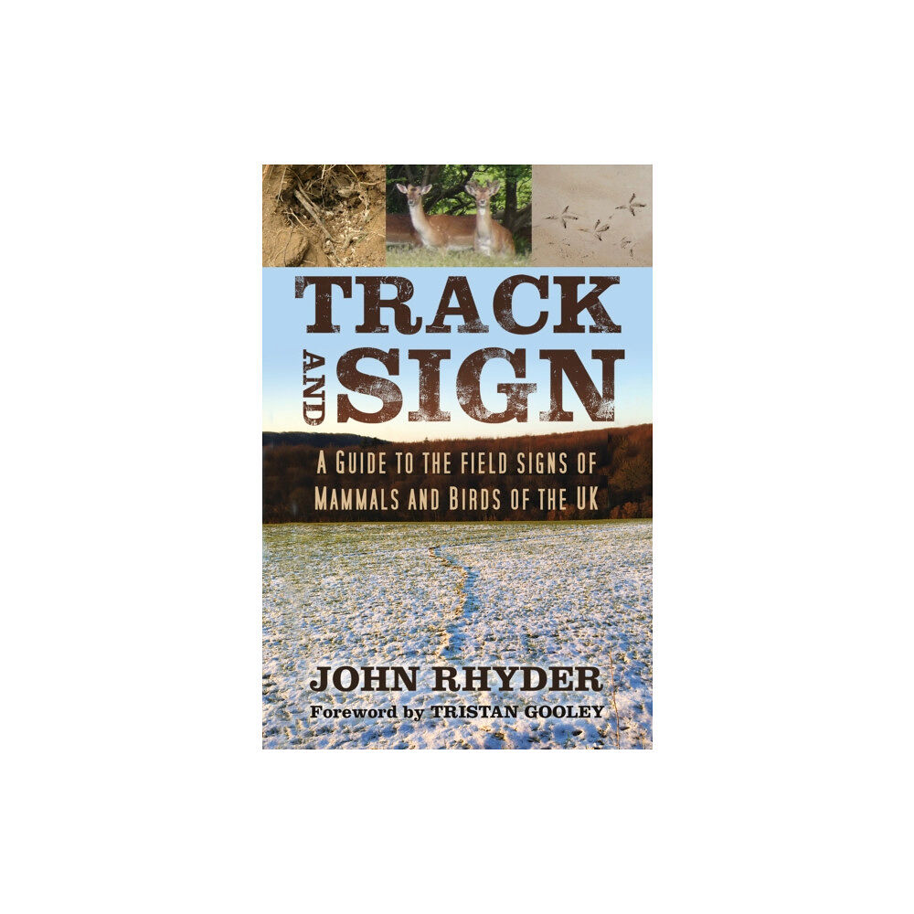 The History Press Ltd Track and Sign (häftad, eng)