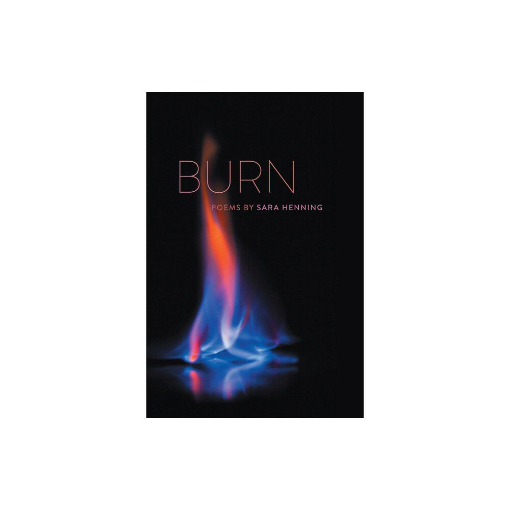 Southern Illinois University Press Burn (häftad, eng)