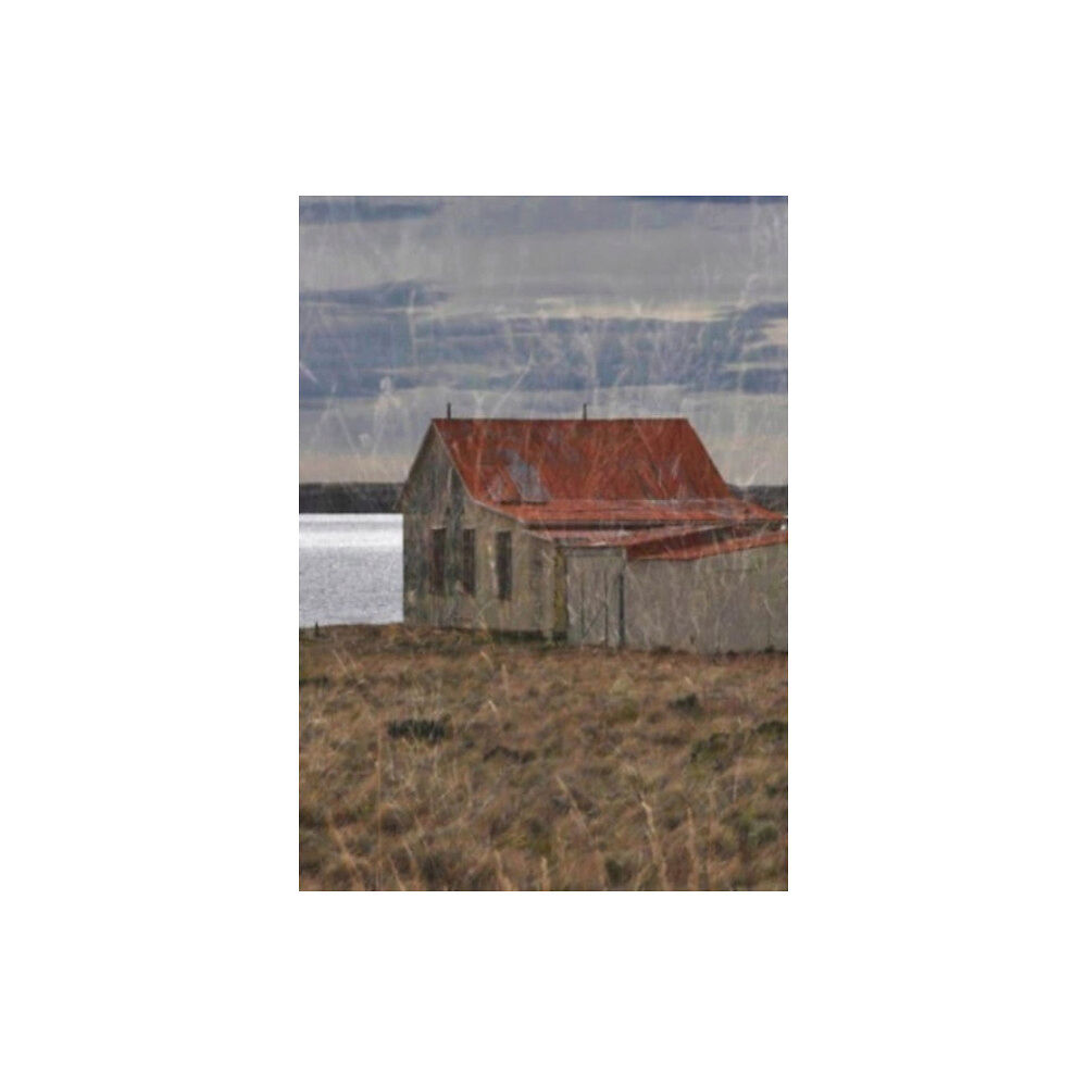 Hurtwood Press Sean Palfrey: Home (häftad, eng)