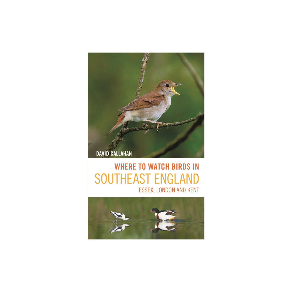 Bloomsbury Publishing PLC Where to Watch Birds in Southeast England (häftad, eng)