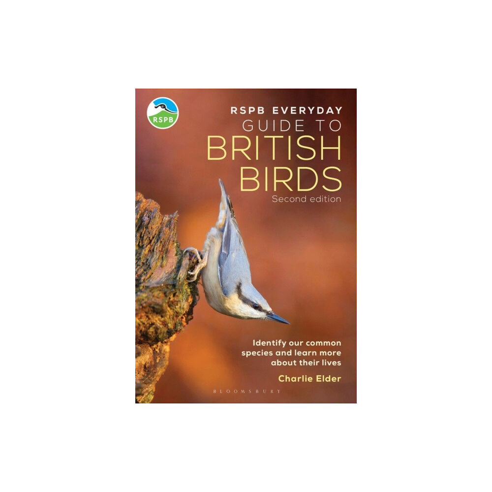 Bloomsbury Publishing PLC RSPB Everyday Guide to British Birds (häftad, eng)
