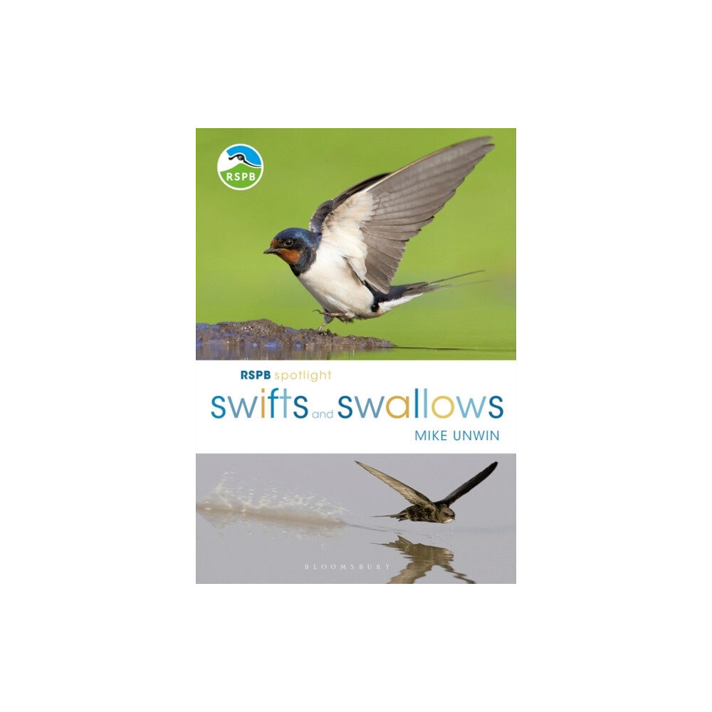 Bloomsbury Publishing PLC RSPB Spotlight Swifts and Swallows (häftad, eng)