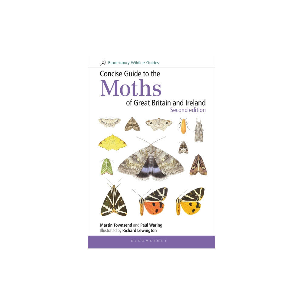 Bloomsbury Publishing PLC Concise Guide to the Moths of Great Britain and Ireland: Second edition (häftad, eng)
