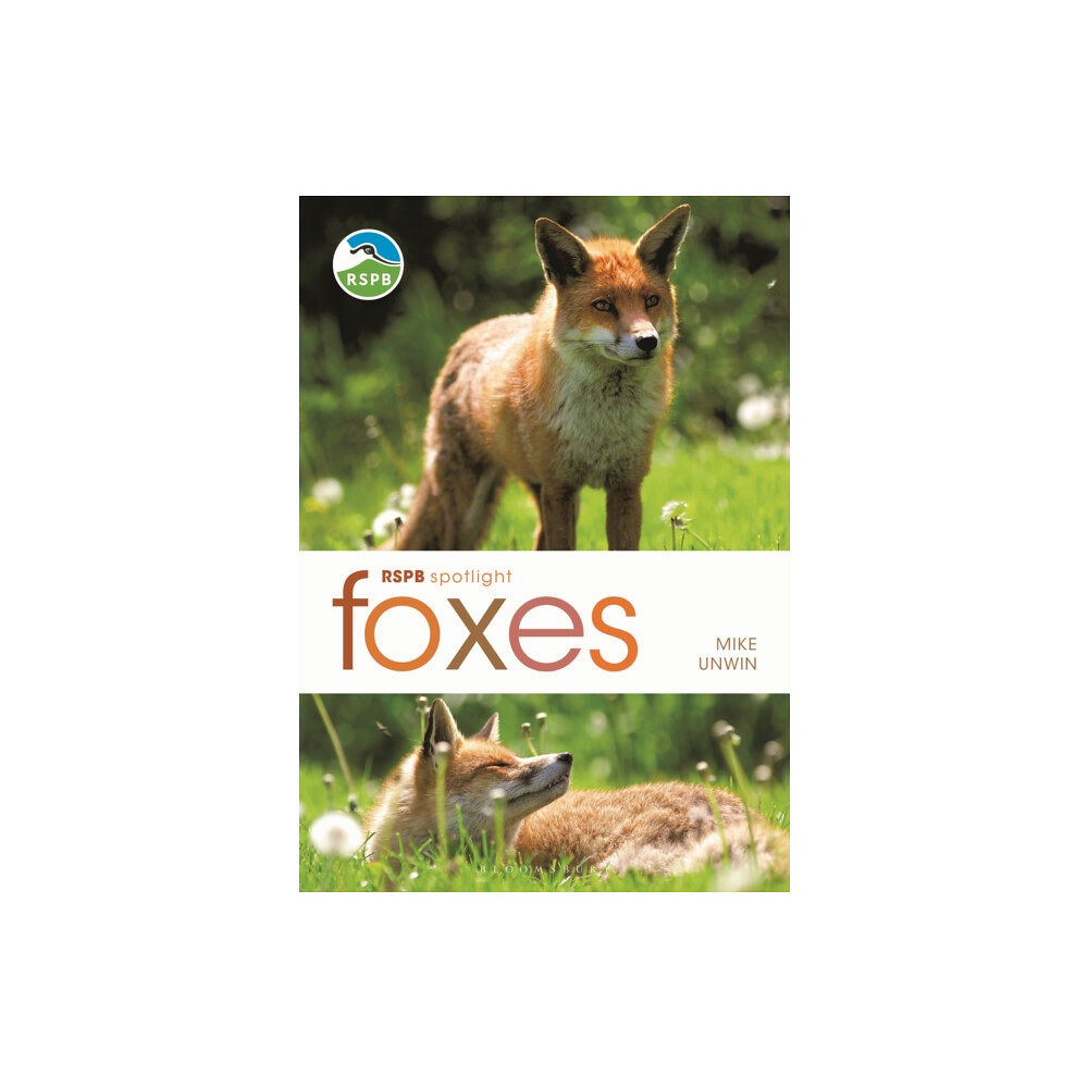 Bloomsbury Publishing PLC RSPB Spotlight: Foxes (häftad, eng)