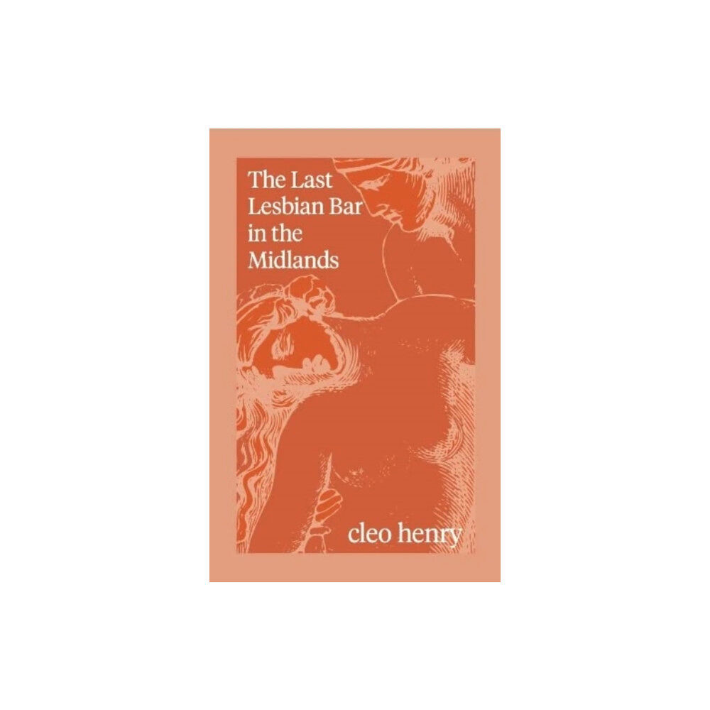 Fourteen Publishing The Last Lesbian Bar in the Midlands (häftad, eng)