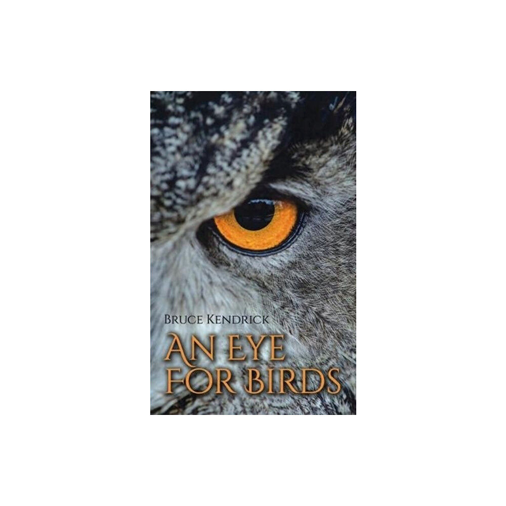 Porto Press Ltd An Eye for Birds (häftad, eng)