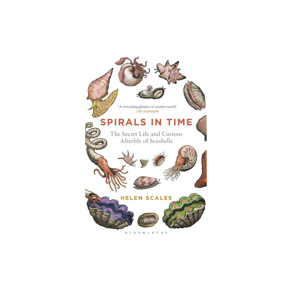 Bloomsbury Publishing PLC Spirals in Time (häftad, eng)