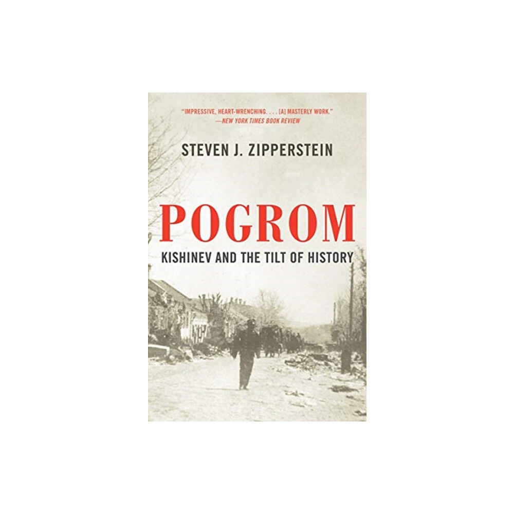 W W Norton & Co Ltd Pogrom (häftad, eng)