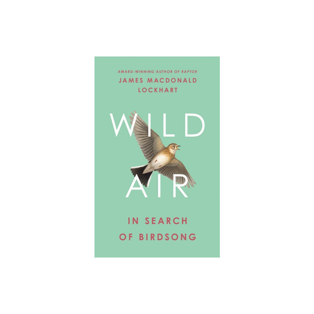 HarperCollins Publishers Wild Air (inbunden, eng)