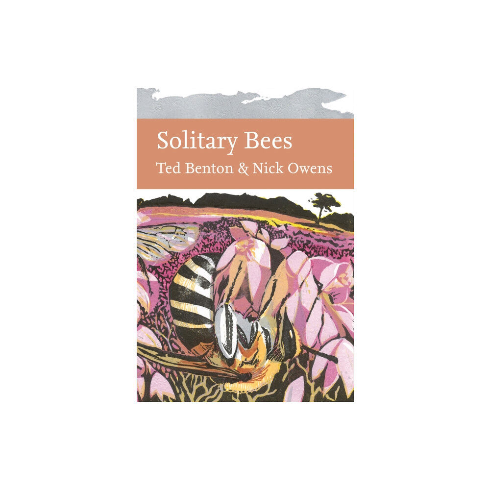 HarperCollins Publishers Solitary Bees (inbunden, eng)