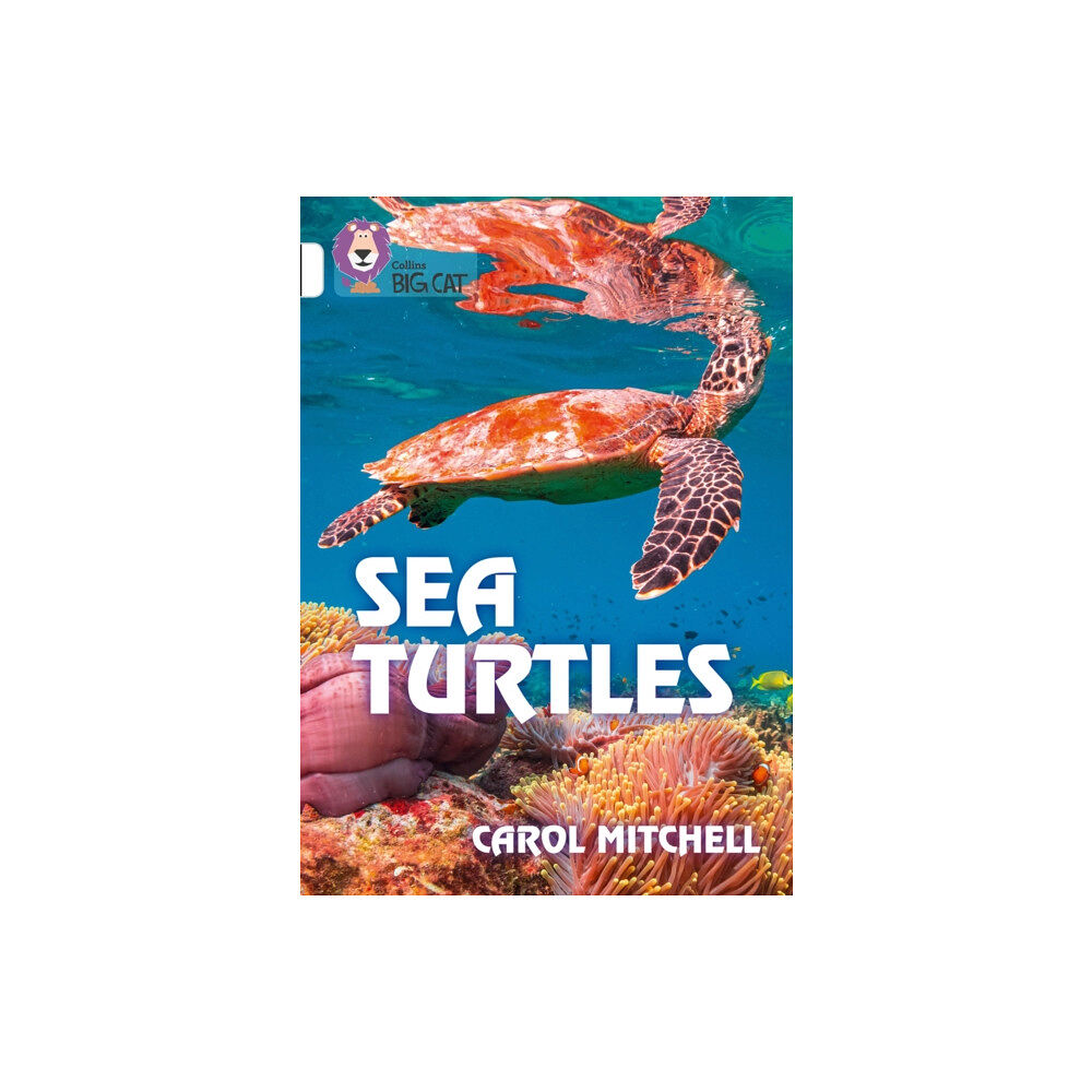 HarperCollins Publishers Sea Turtles (häftad, eng)