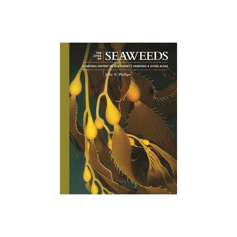 Princeton University Press The Lives of Seaweeds (inbunden, eng)