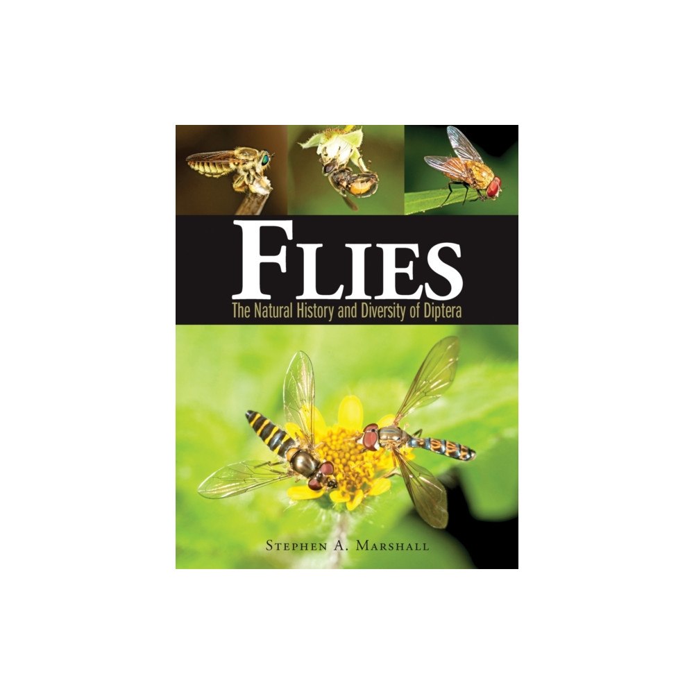Firefly Books Ltd Flies (inbunden, eng)