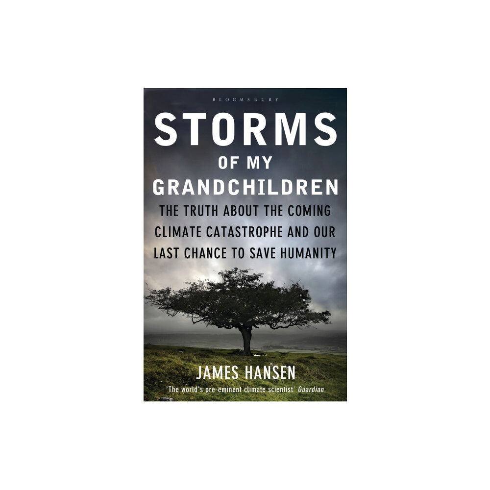 Bloomsbury Publishing PLC Storms of My Grandchildren (häftad, eng)