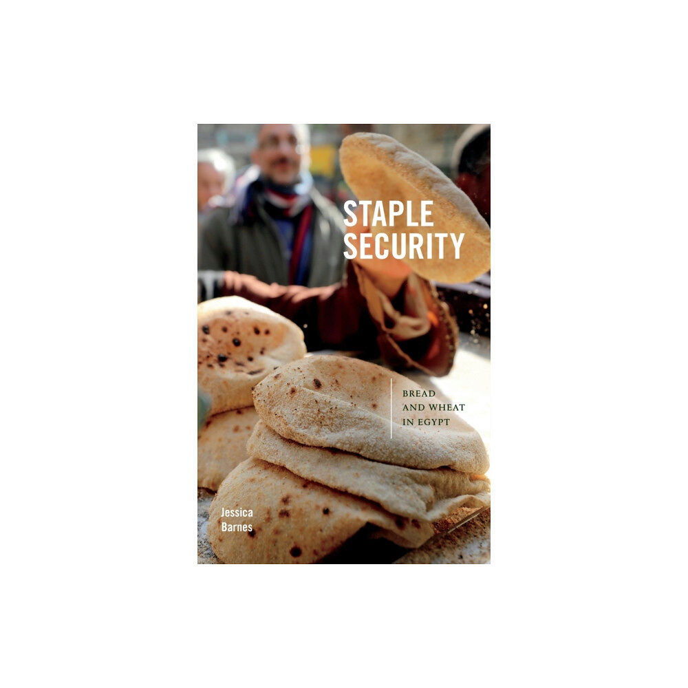 Duke university press Staple Security (häftad, eng)