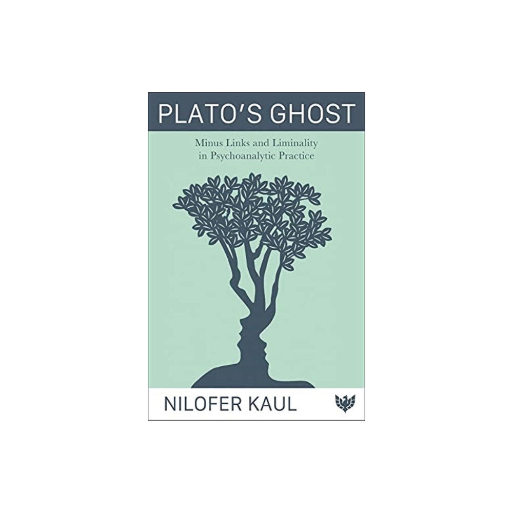 Karnac Books Plato’s Ghost (häftad, eng)