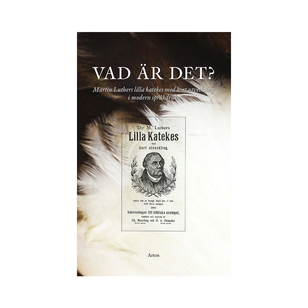 Martin Luther Vad är det? : Martin Luthers lilla katekes med kort utveckling i modern språkdräkt (bok, danskt band)