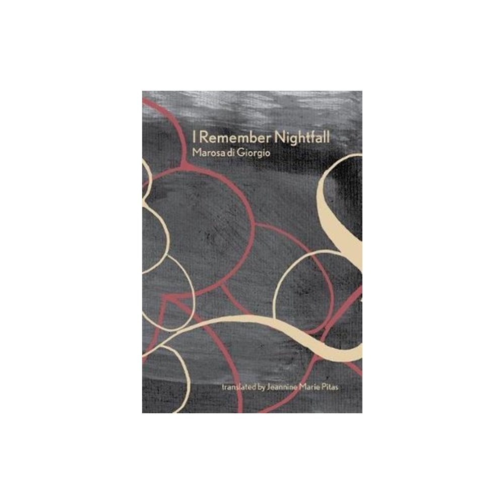 Ugly Duckling Presse I Remember Nightfall (häftad, eng)