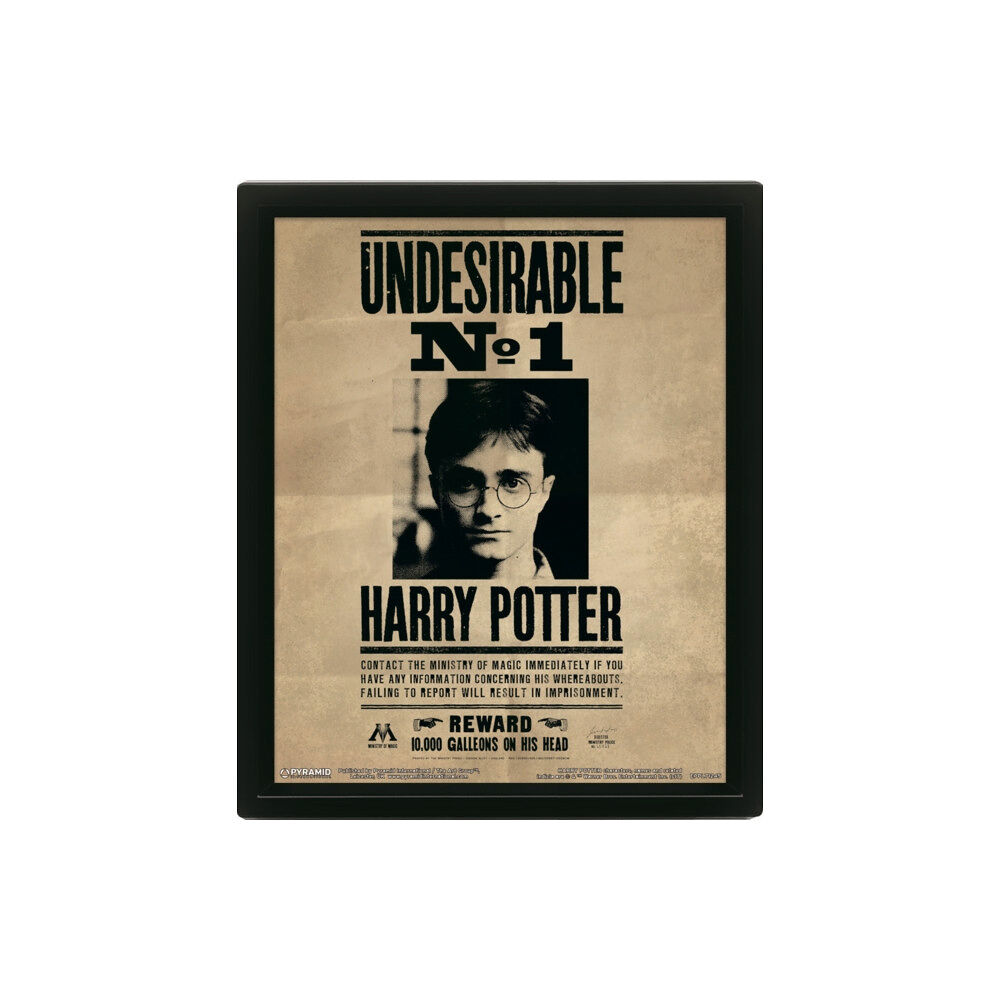 Pyramid International Harry Potter (Harry & Sirius) Framed 10 x 8" 3D Lenticular Poster (Framed)