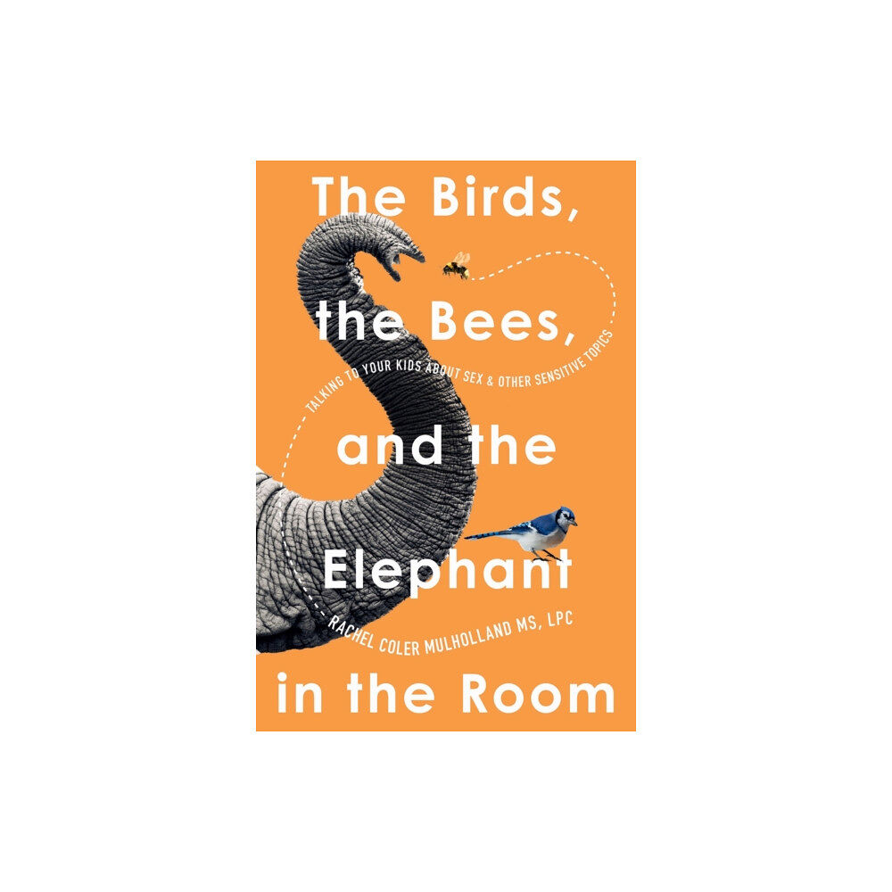 Union Square & Co. The Birds, the Bees, and the Elephant in the Room (häftad, eng)