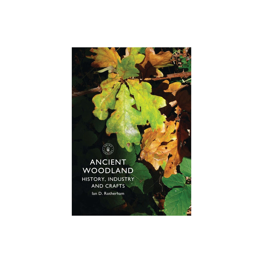 Bloomsbury Publishing PLC Ancient Woodland (häftad, eng)