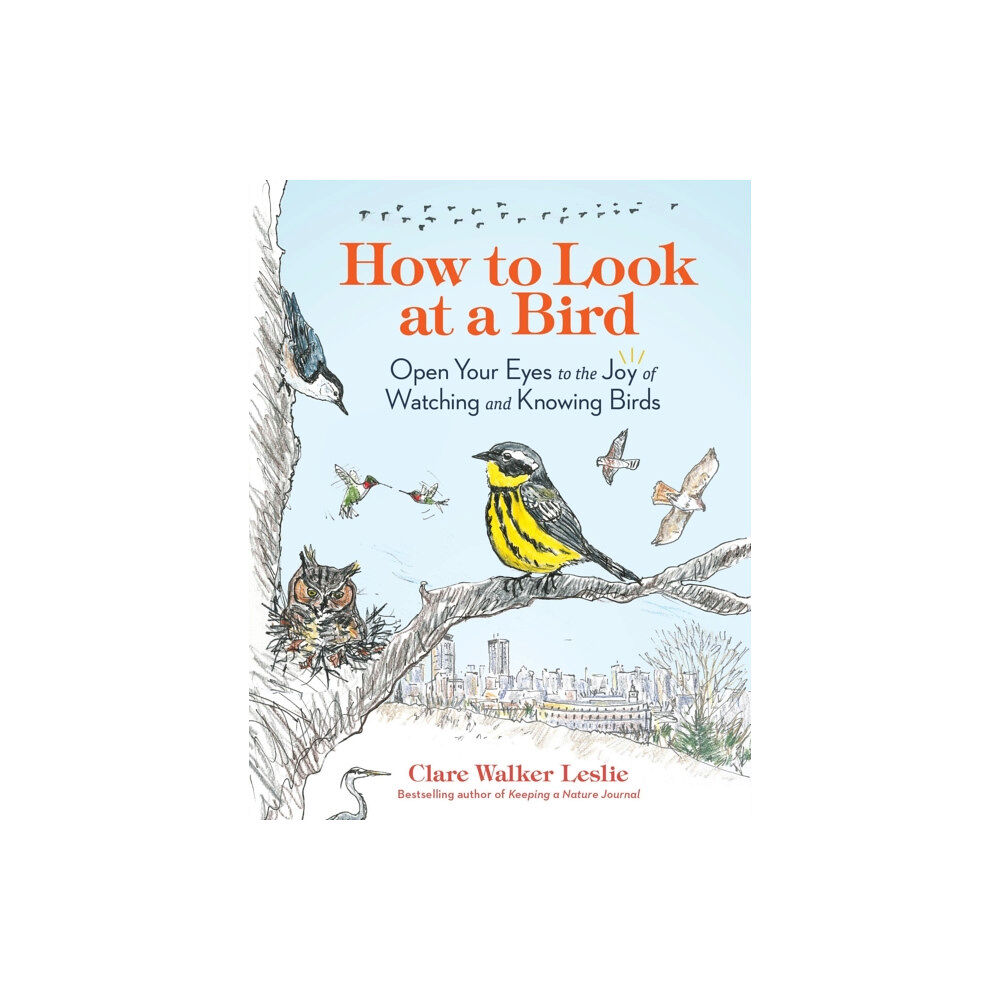 Workman Publishing How to Look at a Bird (häftad, eng)