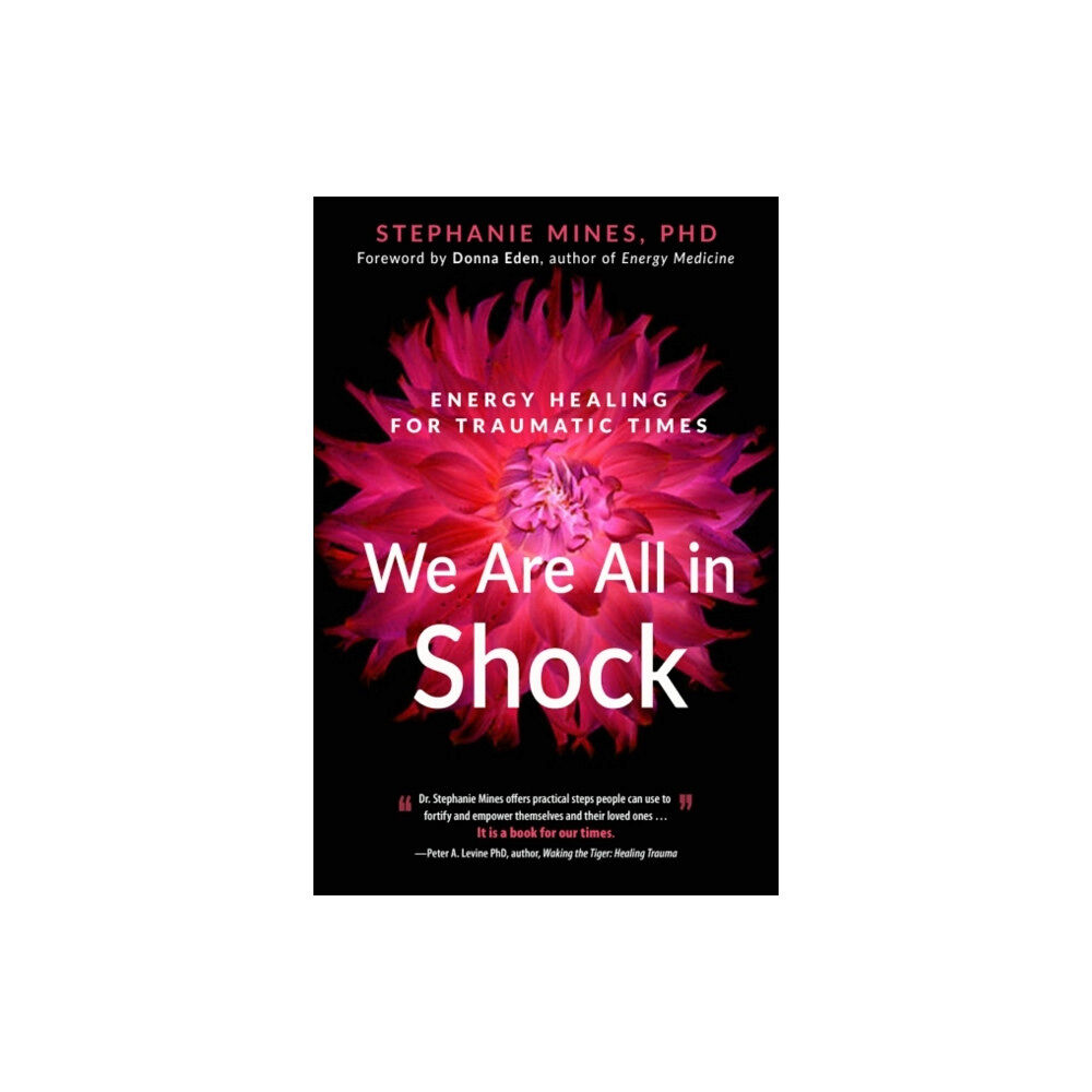 Red Wheel/Weiser We are All in Shock (häftad, eng)