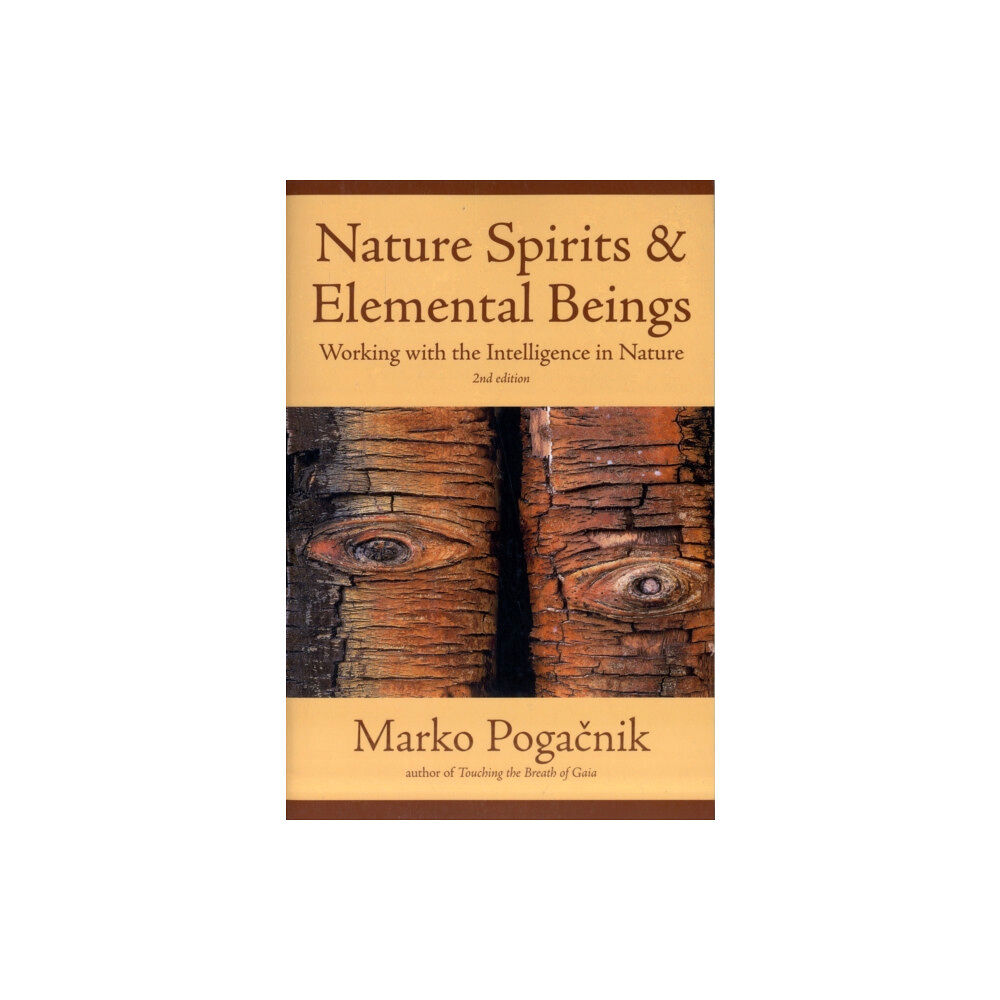 Inner Traditions Bear and Company Nature Spirits & Elemental Beings (häftad, eng)
