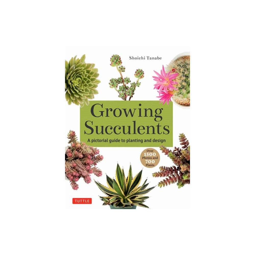 Tuttle Publishing Growing Succulents (häftad, eng)