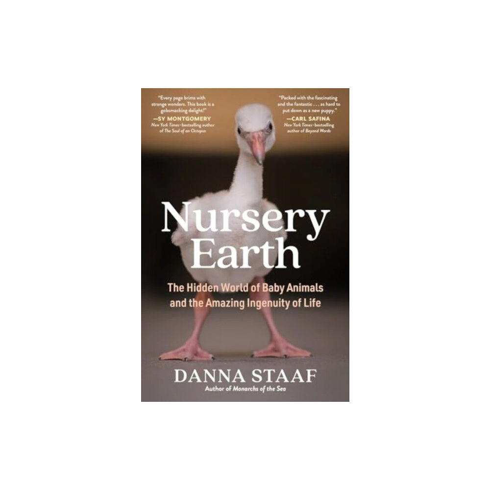 The Experiment LLC Nursery Earth (häftad, eng)