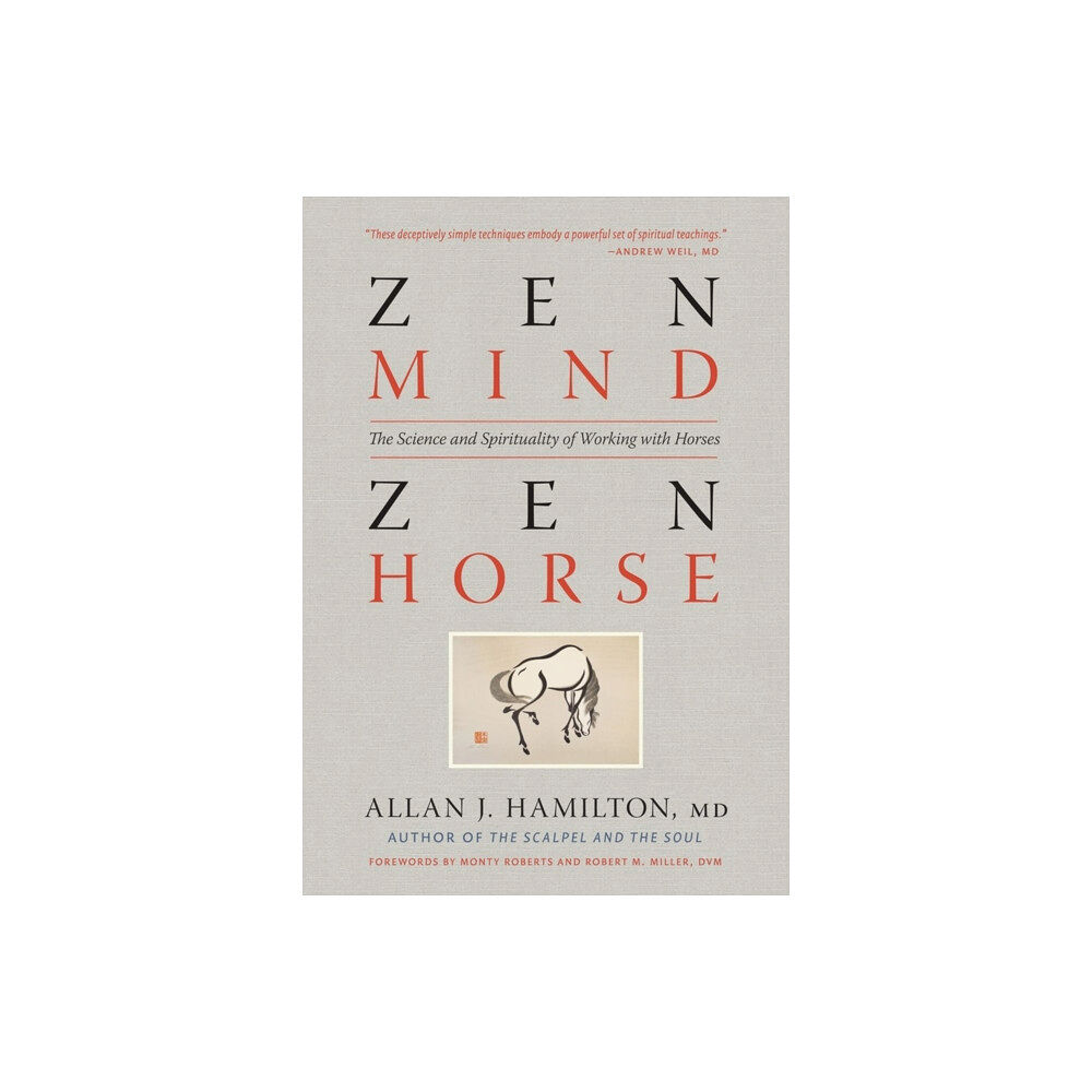 Workman Publishing Zen Mind, Zen Horse (häftad, eng)