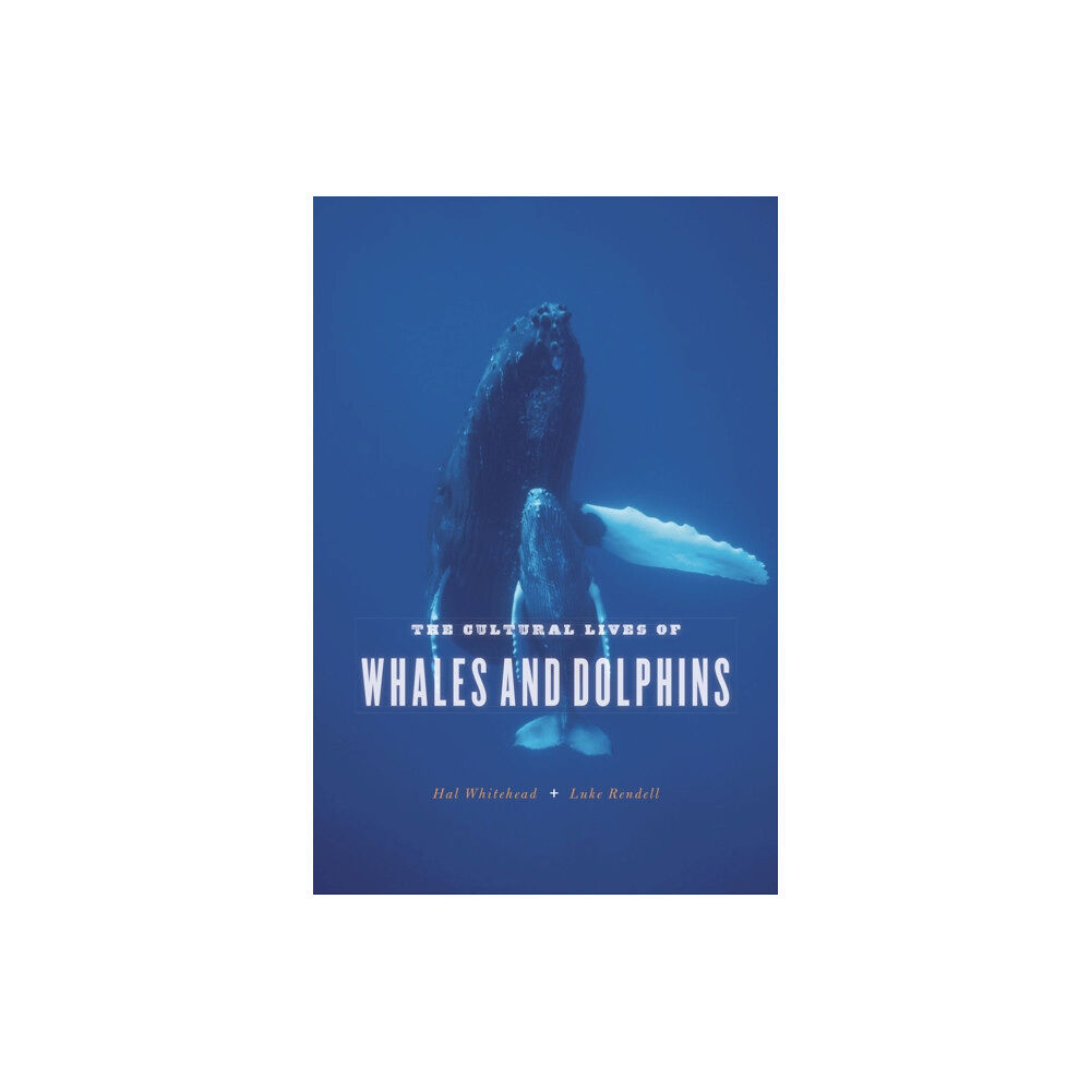 The university of chicago press The Cultural Lives of Whales and Dolphins (häftad, eng)