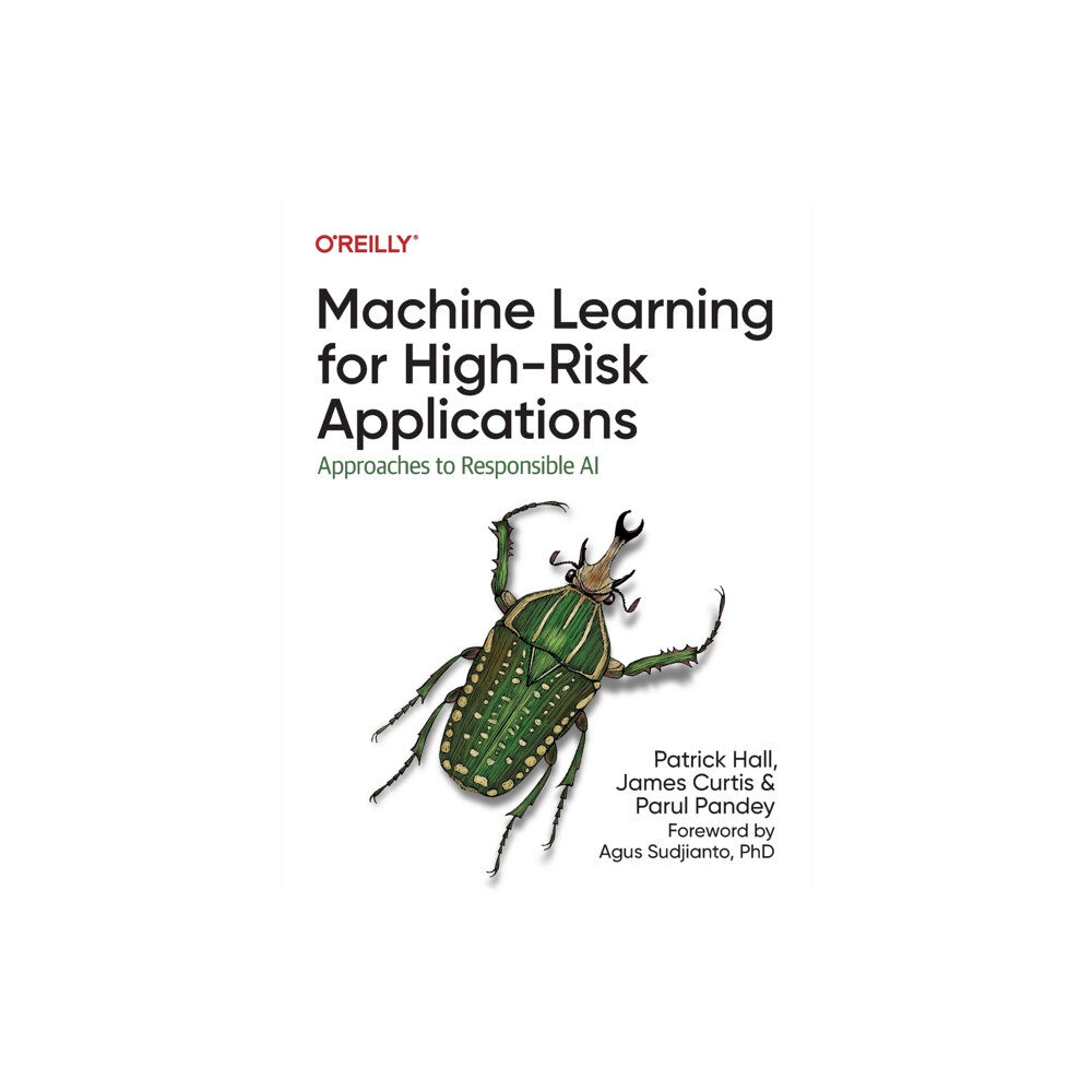 O'Reilly Media Machine Learning for High-Risk Applications (häftad, eng)