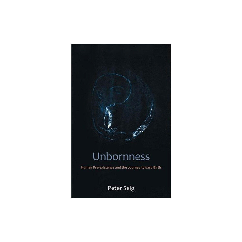 Anthroposophic Press Inc Unbornness (häftad, eng)