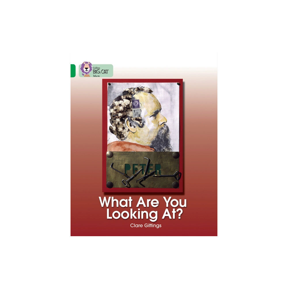 HarperCollins Publishers What Are You Looking At? (häftad, eng)