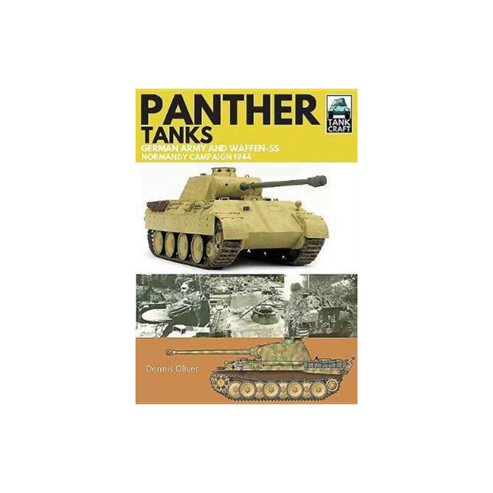 Pen & Sword Books Ltd Panther Tanks (häftad, eng)
