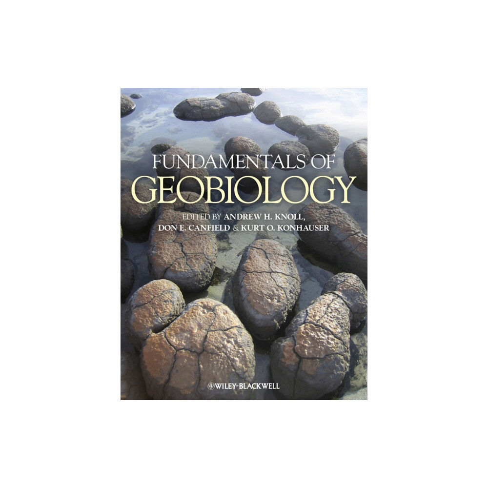 John Wiley And Sons Ltd Fundamentals of Geobiology (häftad, eng)