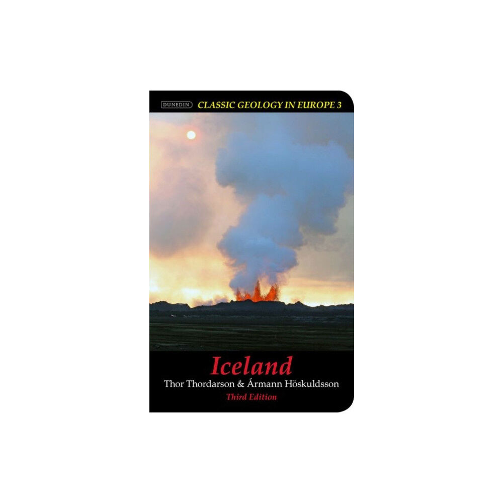 Liverpool University Press Iceland (häftad, eng)