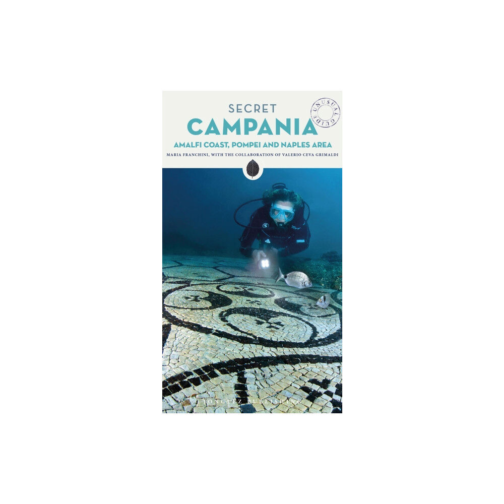 Jonglez Secret Campania Guide (häftad, eng)