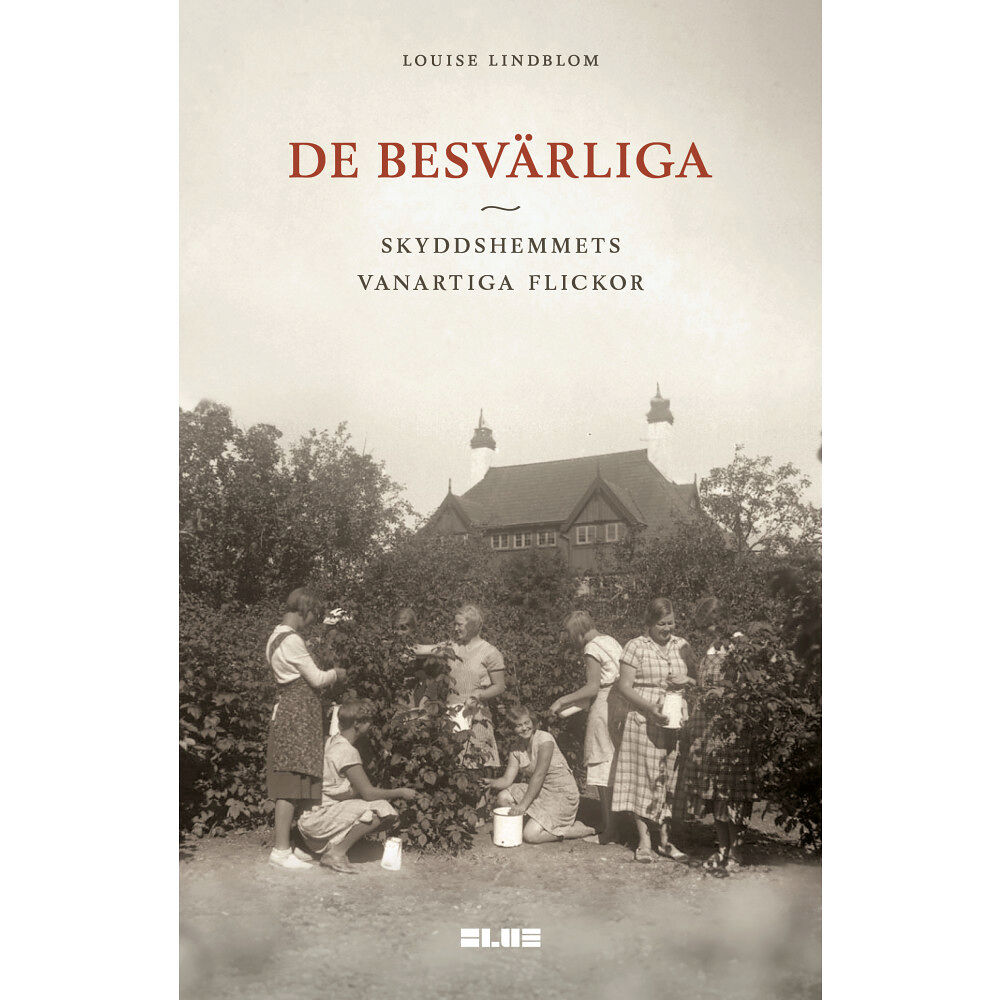 Louise Lindblom De besvärliga : skyddshemmets vanartiga flickor (bok, danskt band)