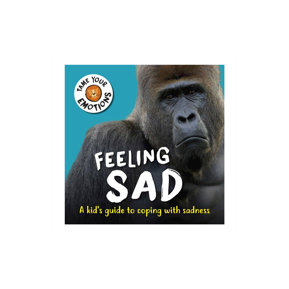 Hachette Children's Group Tame Your Emotions: Feeling Sad (häftad, eng)