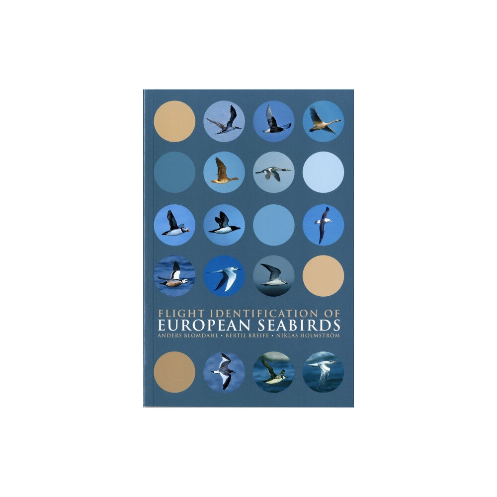 Bloomsbury Publishing PLC Flight Identification of European Seabirds (häftad, eng)