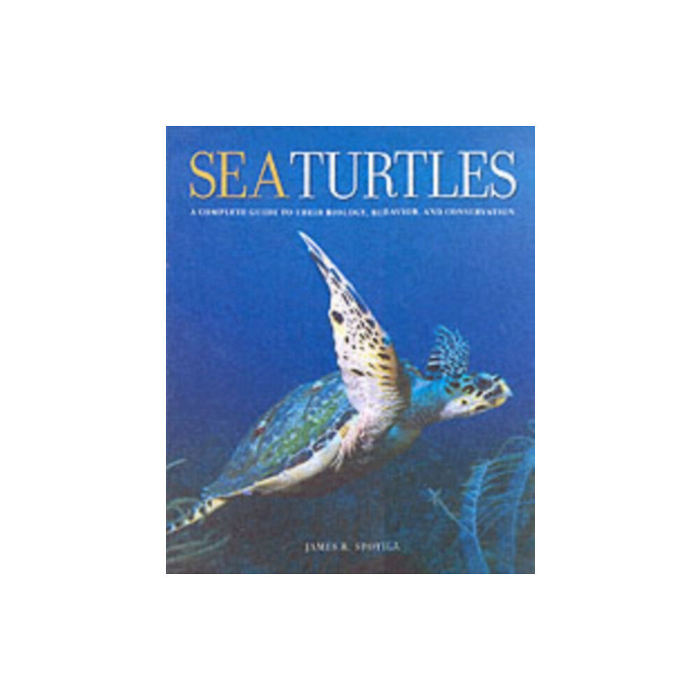 Johns Hopkins University Press Sea Turtles (inbunden, eng)