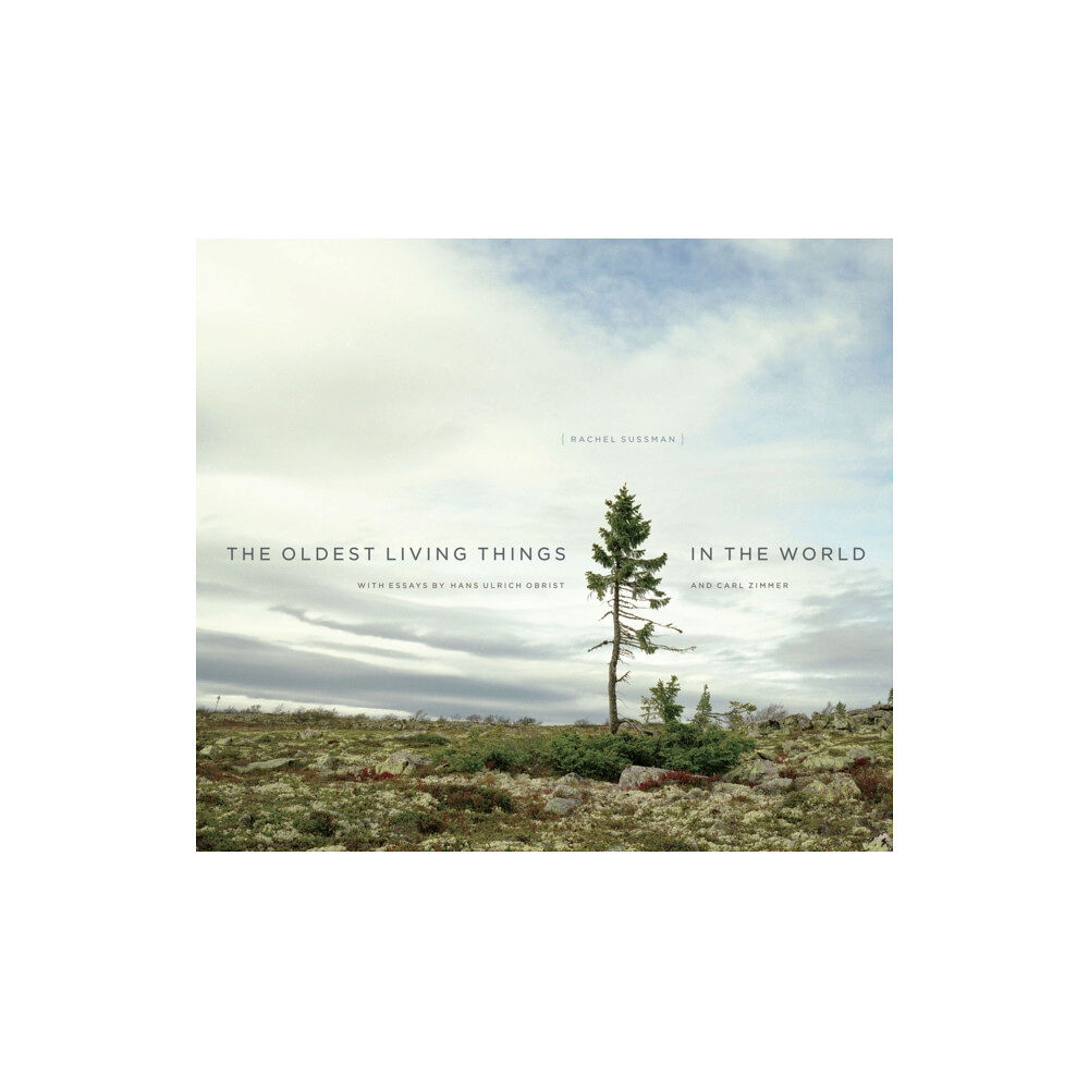 The university of chicago press The Oldest Living Things in the World (inbunden, eng)