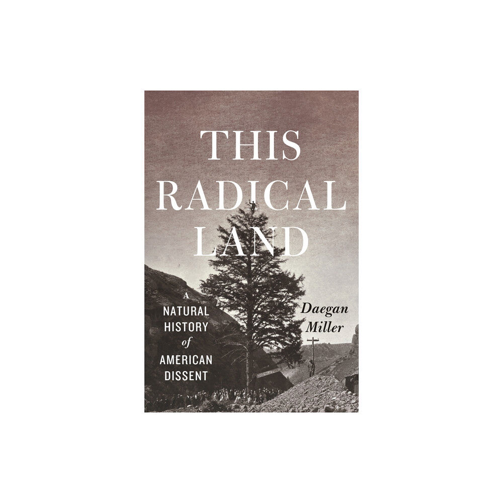 The university of chicago press This Radical Land (häftad, eng)