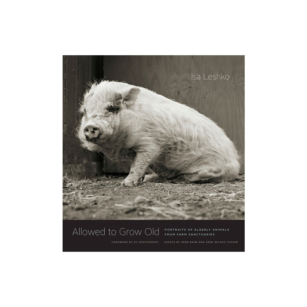 The university of chicago press Allowed to Grow Old (inbunden, eng)