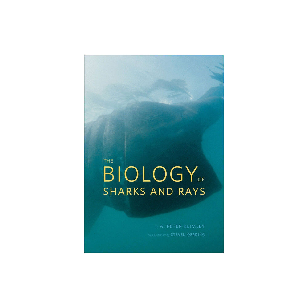 The university of chicago press The Biology of Sharks and Rays (inbunden, eng)