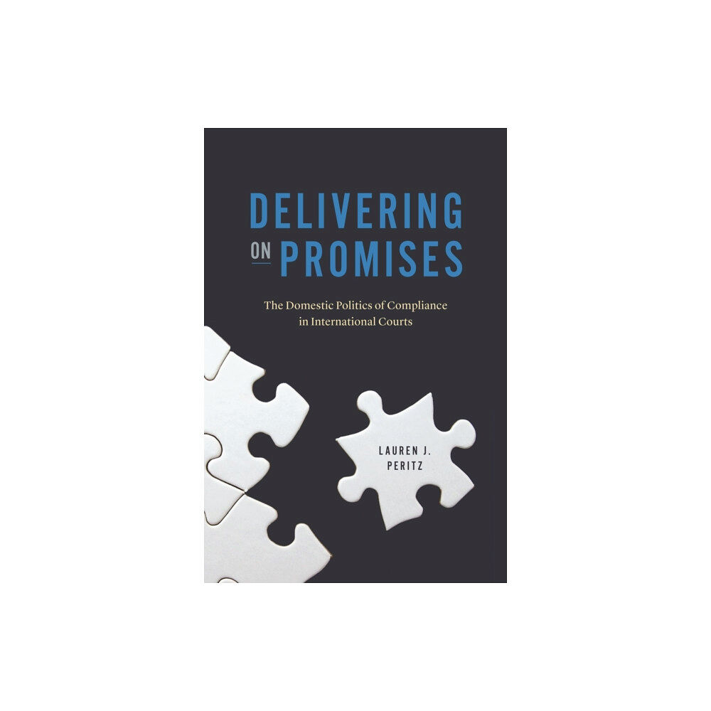 The university of chicago press Delivering on Promises (häftad, eng)