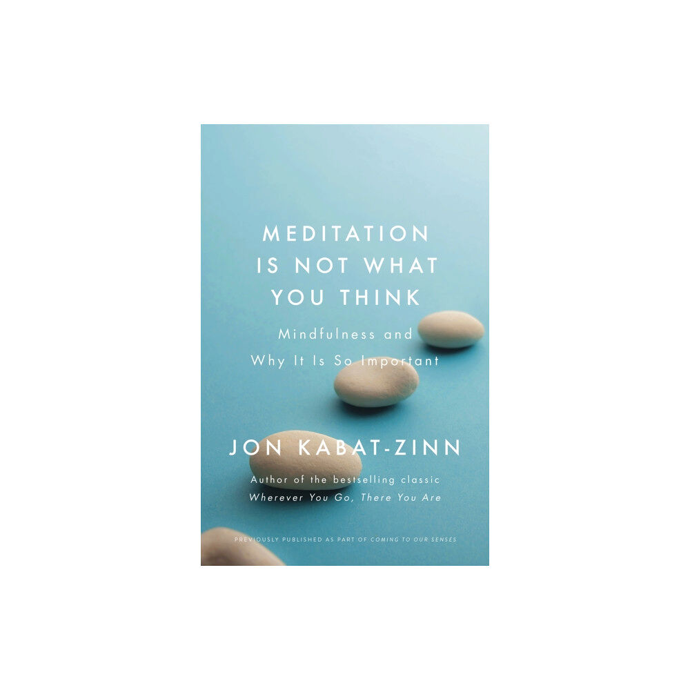 Little, Brown Book Group Meditation is Not What You Think (häftad, eng)